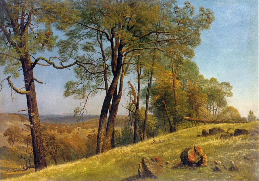 Albert Bierstadt Landscape Rockland County California
